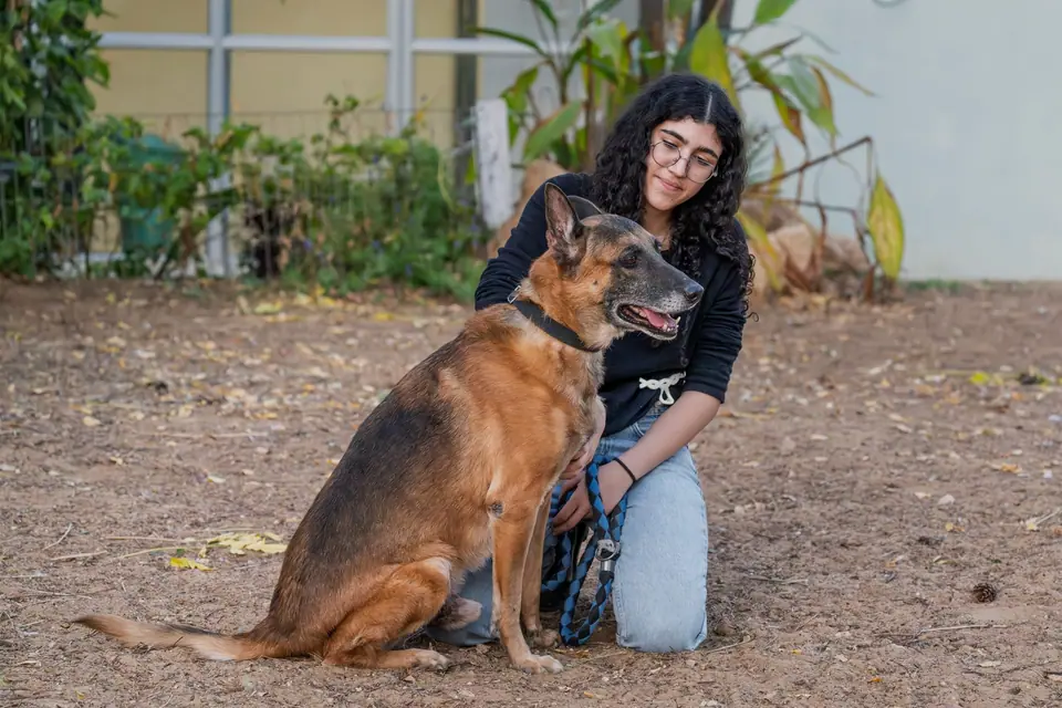 רקס, כלב לאימוץ בתל אביב